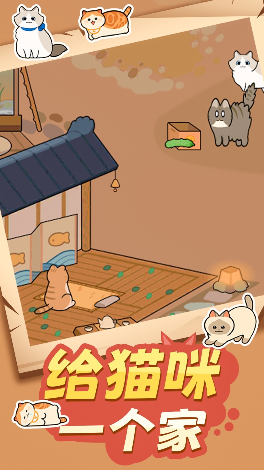 猫咪很可爱