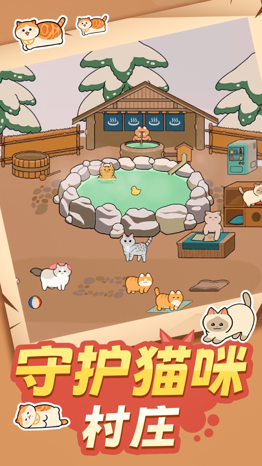 猫咪很可爱
