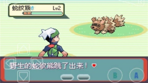 精灵宝可梦绿宝石随机版