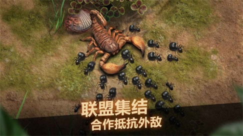 小小蚁国官服